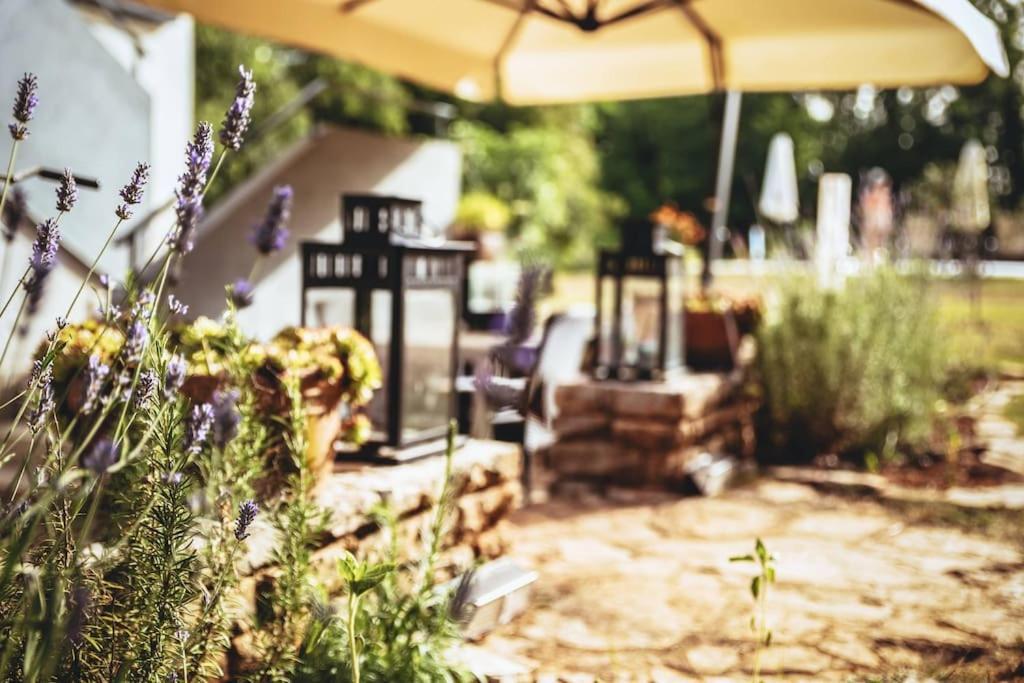 Luxury Villa Cetiri Hrasta Pićan Esterno foto