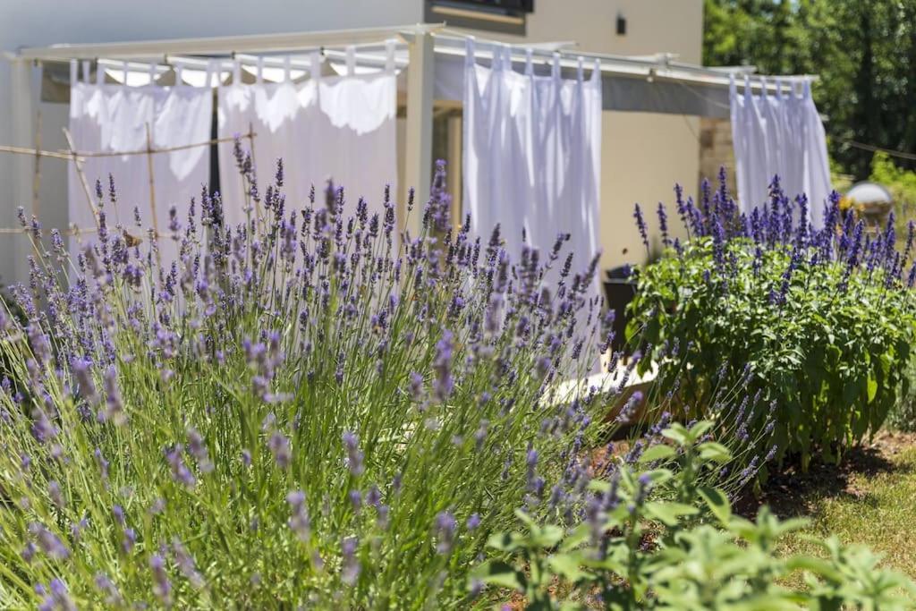 Luxury Villa Cetiri Hrasta Pićan Esterno foto