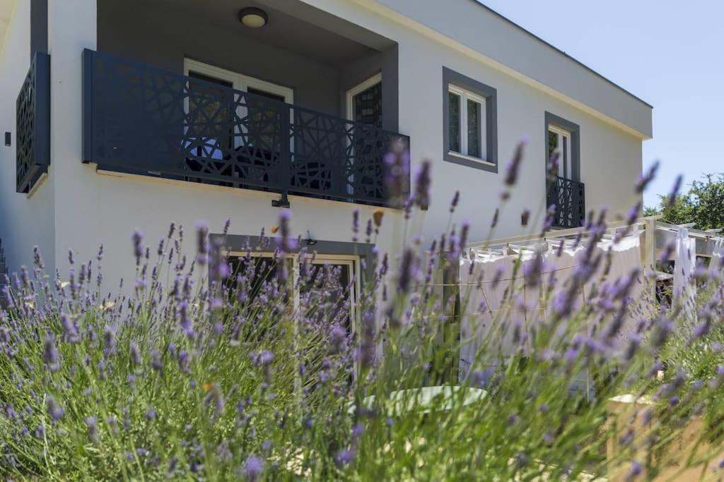 Luxury Villa Cetiri Hrasta Pićan Esterno foto