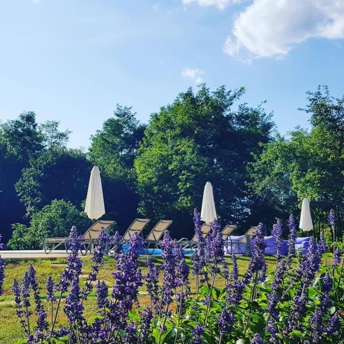 Luxury Villa Cetiri Hrasta Pićan Esterno foto